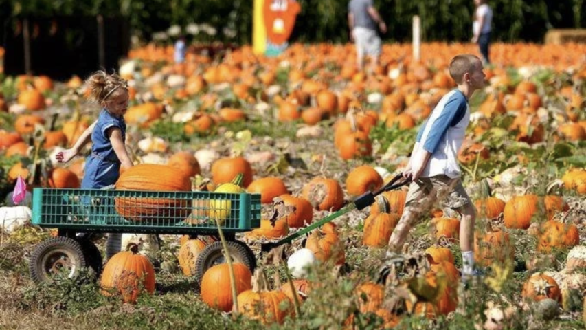 Things to do in Salem, Oregon // September 25 - 27, 2026