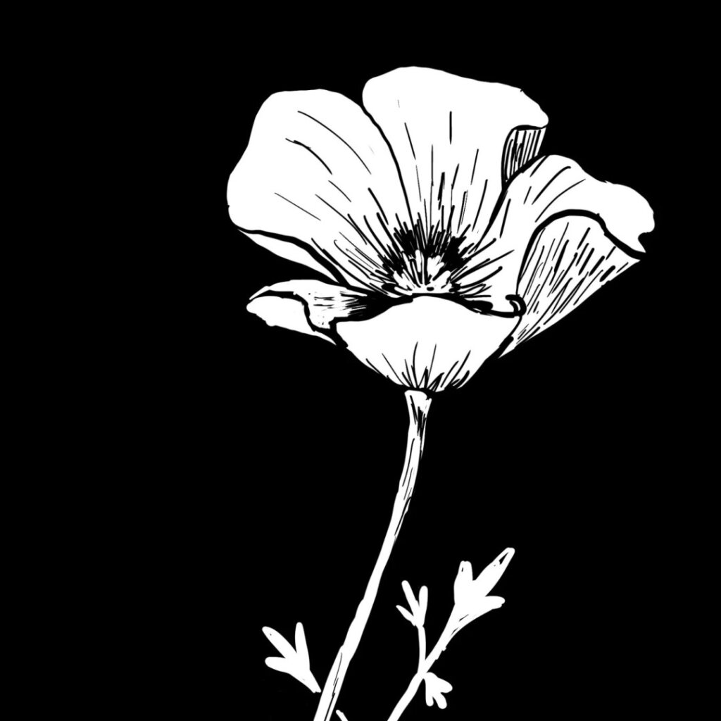 Intro to Linocut Printing with Bella Ramey