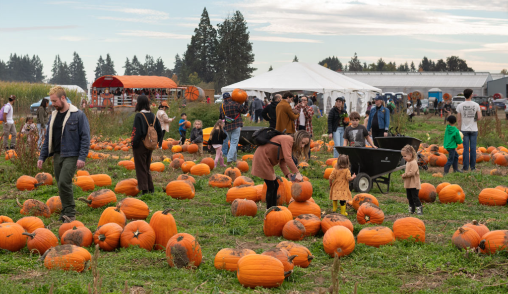 Bauman's Harvest Festival