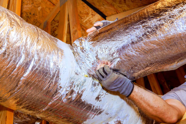 Top 5 Best Duct Sealing Companies in Richmond, VA (2026)