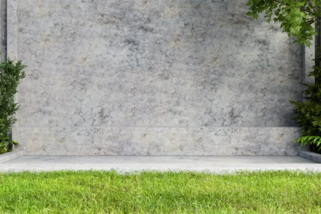 Textured concrete wall bordered by green grass and plants in an outdoor space.