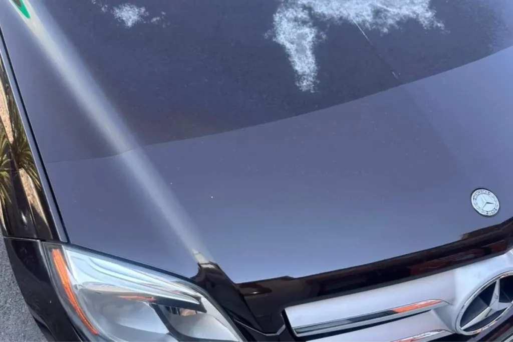 Clear line showing paint protection film applied to a dark car hood and headlight.
