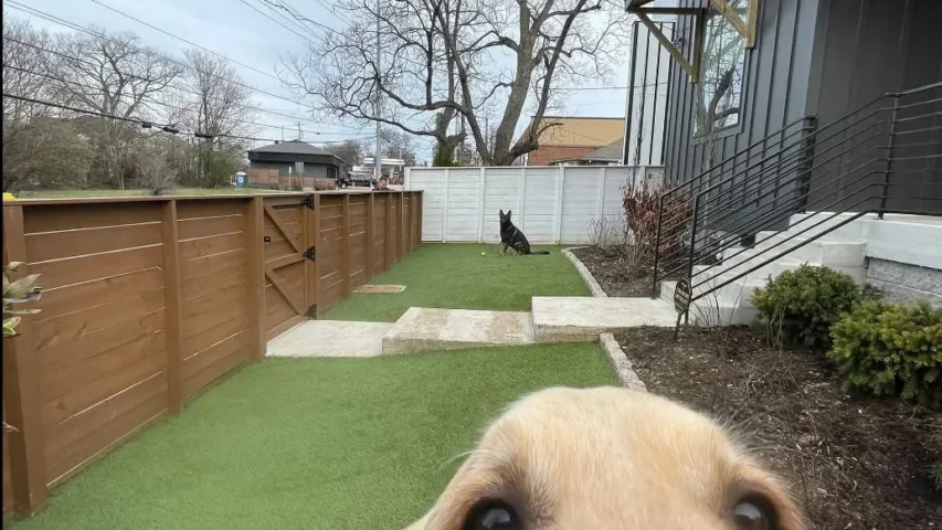 How Do You Prevent Pet Turf From Shifting Or Developing Wrinkles Under Heavy Use