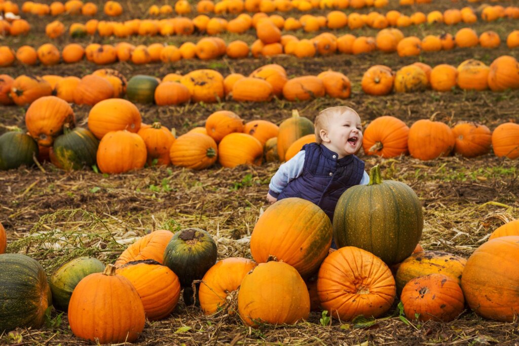 Local Pumpkin Patches & Harvest Festivals